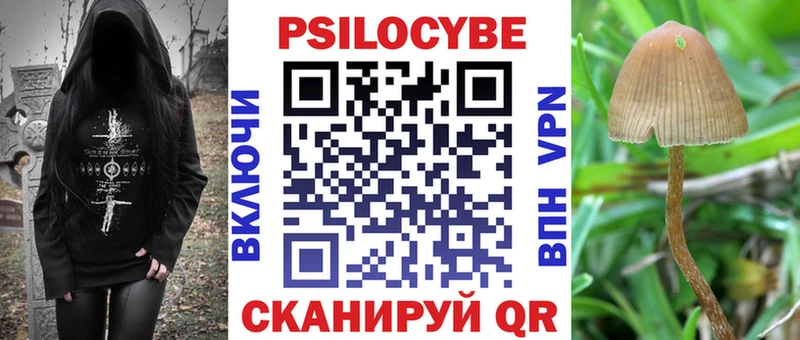 Галлюциногенные грибы Magic Shrooms  купить наркотик  Кущёвская 
